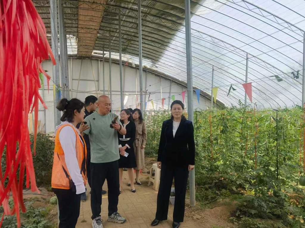 副市长隋子林调研考察春田里