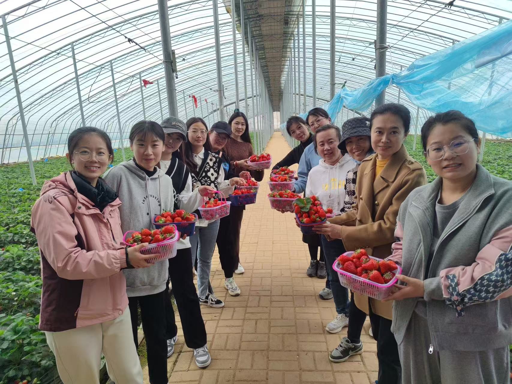 草莓采摘、蔬菜采摘