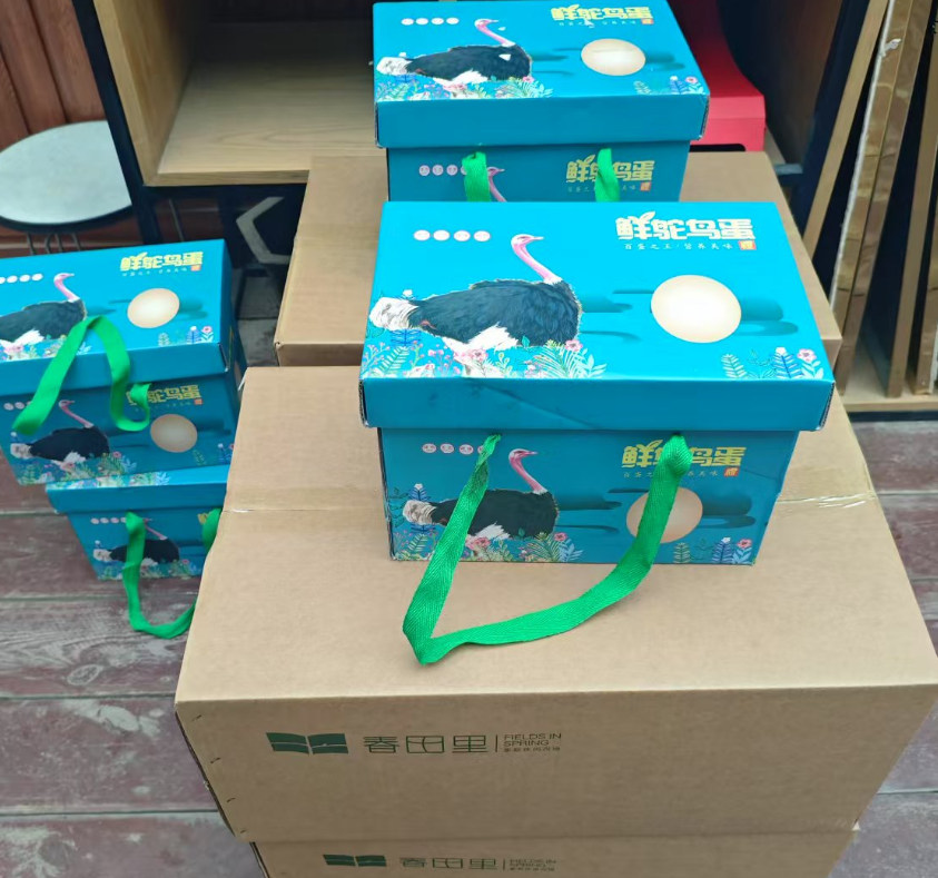 春田里蔬菜礼盒、草莓礼盒、跑山鸡、鸡鸭鹅蛋、鸵鸟蛋礼盒