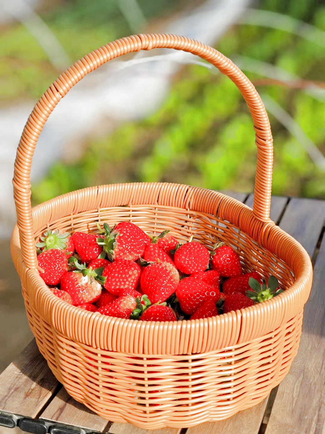 春田里蔬菜礼盒、草莓礼盒、跑山鸡、鸡鸭鹅蛋、鸵鸟蛋礼盒